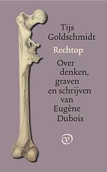 Foto van Rechtop - tijs goldschmidt - paperback (9789028221260)