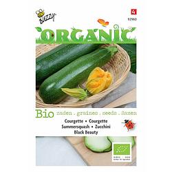 Foto van 5 stuks organic courgette black beauty (skal 14725)