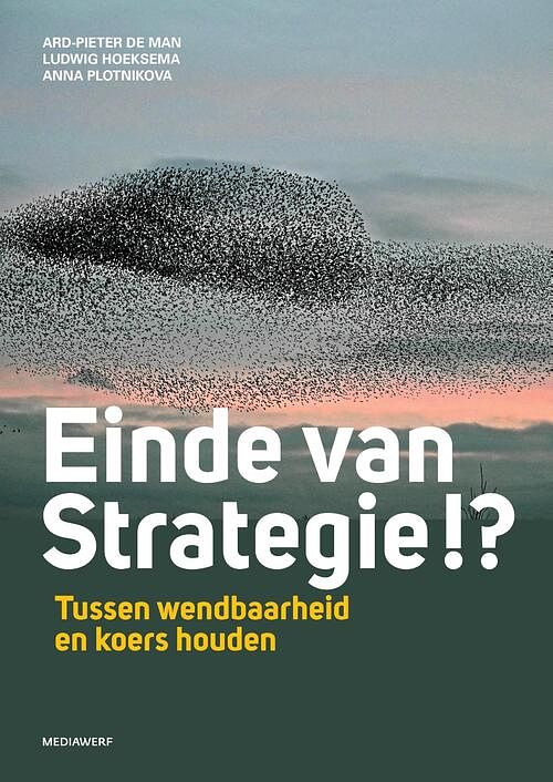 Foto van Einde van strategie !? - anna plotnikova - ebook (9789083296326)