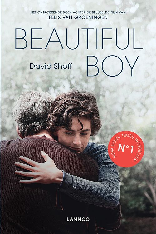 Foto van Beautiful boy - david sheff - ebook (9789401458474)