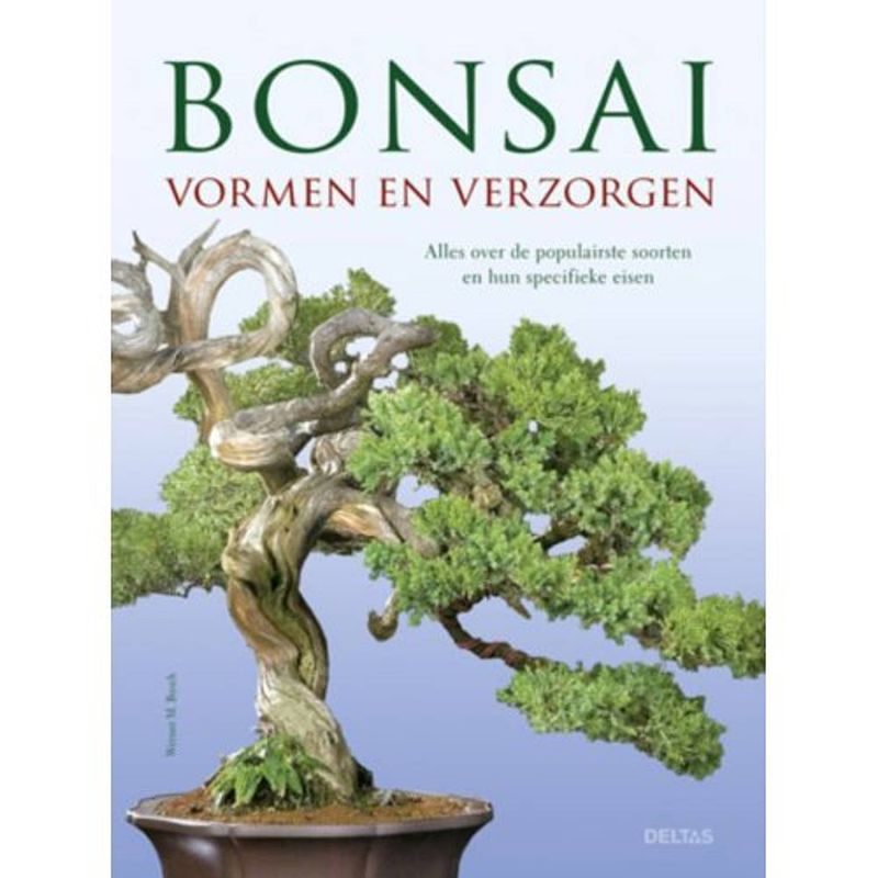 Foto van Bonsai