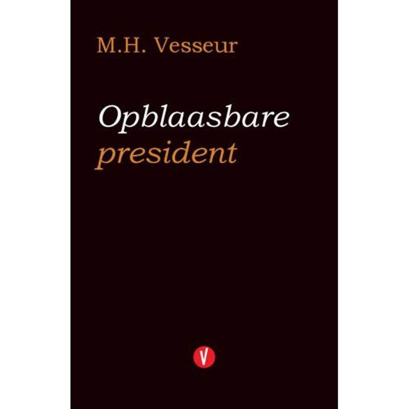 Foto van Opblaasbare president