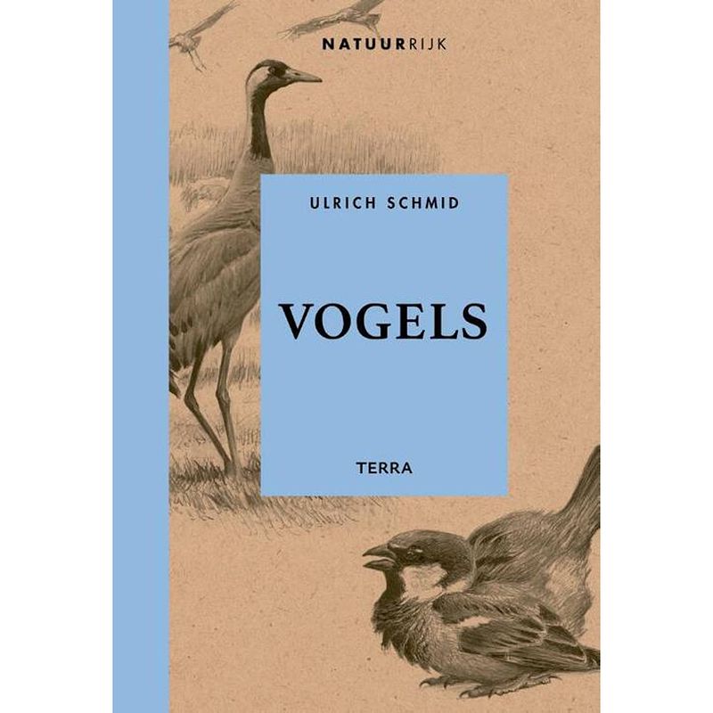 Foto van Vogels