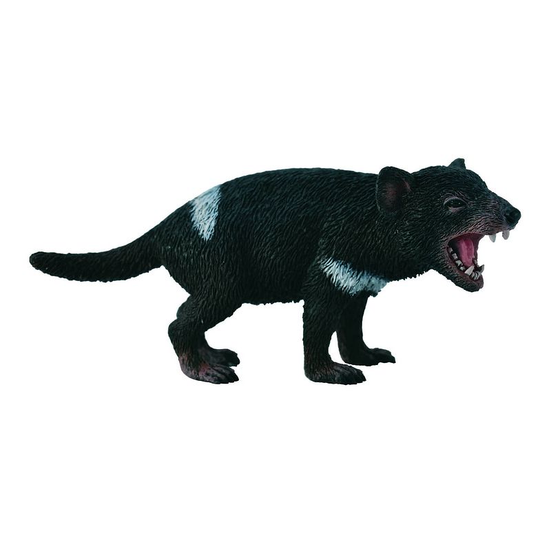 Foto van Collecta wilde dieren tasmaanse duivel 7.7 x 3.5 cm