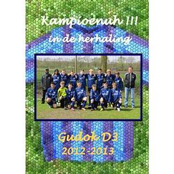 Foto van Gudok d3 2012-2013 kampioenuh!!! in de herhaling