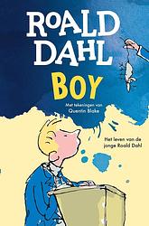 Foto van Boy - roald dahl - ebook