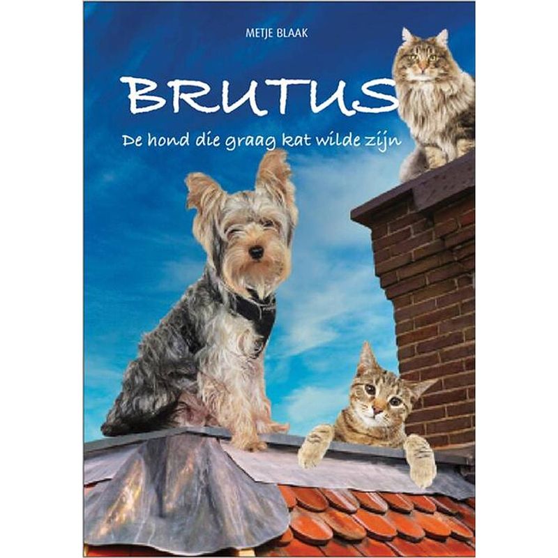 Foto van Brutus