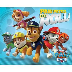 Foto van Pyramid paw patrol on a roll poster 50x40cm