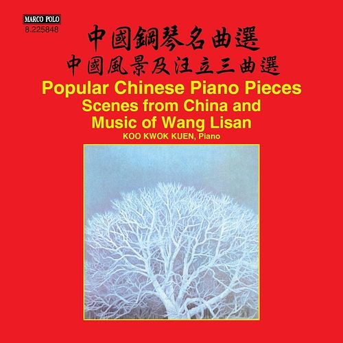 Foto van Scenes from china music of wang lisan - cd (0636943584828)