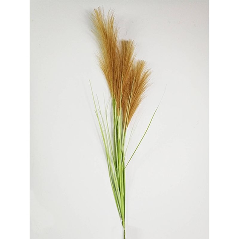 Foto van Pampas gras 80cm met blad bruin