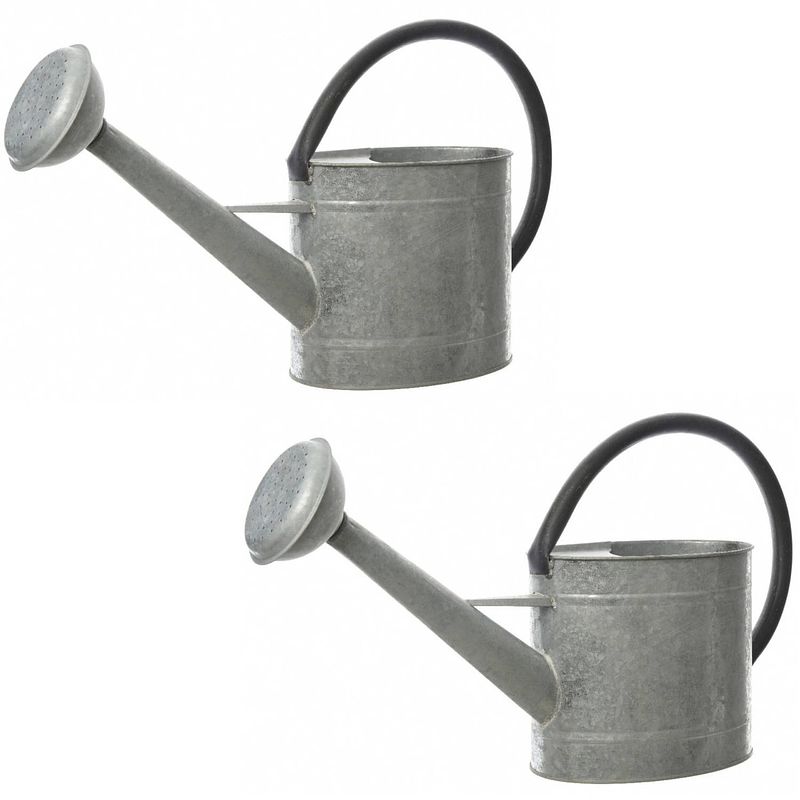 Foto van Set van 2x stuks grijze tuinbewatering/decoratie gieters van zink 5 liter - gieters