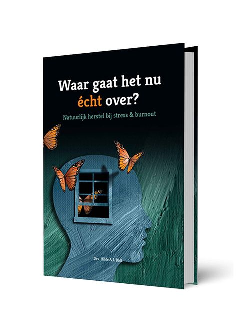 Foto van Waar gaat het nu echt over? - hilde bolt - hardcover (9789078876403)