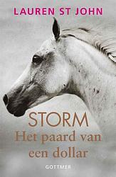 Foto van Het paard van een dollar - lauren st. john - ebook (9789025760359)