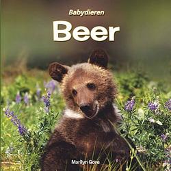 Foto van Beer - babydieren