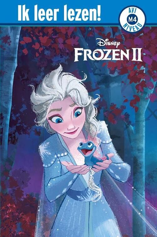 Foto van Avi - disney frozen 2 - hardcover (9789047850007)