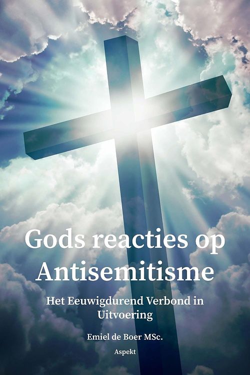 Foto van Gods reacties op antisemitisme - emiel de boer - ebook