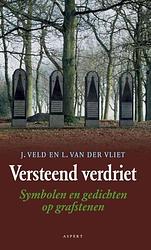 Foto van Versteend verdriet - jaap veld, lex van der vliet - ebook (9789464620672)