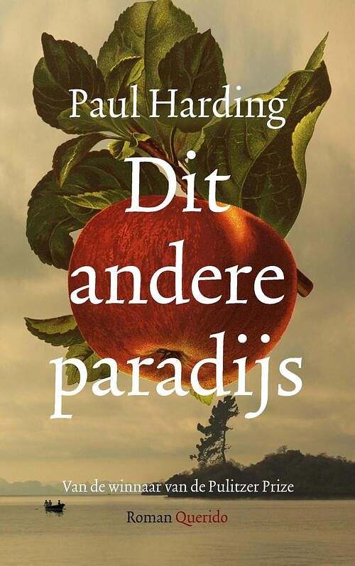 Foto van Dit andere paradijs - paul harding - ebook (9789021477787)