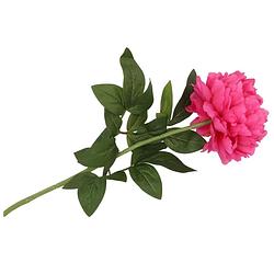 Foto van Dk design kunstbloem pioenroos - roze - zijde - 71 cm - kunststof steel - decoratie bloemen - kunstbloemen