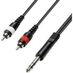 Foto van Paccs paccs audio adapterkabel [2x cinch-stekker - 1x jackplug male 6,3 mm] 5.00 m zwart