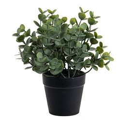 Foto van Eucalyptus kunstplant - in pot - groen - h20 cm - kunstplanten