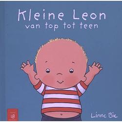 Foto van Kleine leon van top tot teen