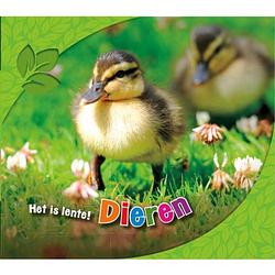 Foto van Dieren - het is lente!