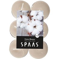 Foto van 48x geurtheelichtjes cotton blossom/wit 4,5 branduren - geurkaarsen