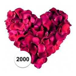 Foto van Bordeaux rode rozenblaadjes 2000 stuks - rozenblaadjes / strooihartjes