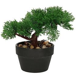 Foto van Kunstplant bonsai boompje in pot - japans decoratie - 19 cm - type moss - kunstplanten