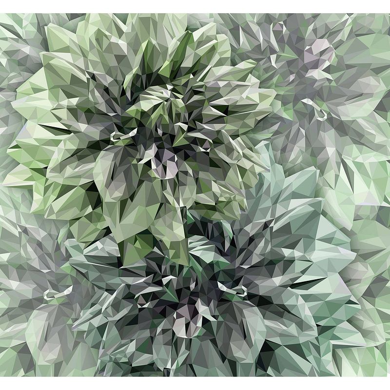 Foto van Komar emerald flowers vlies fotobehang 300x280cm 6-banen