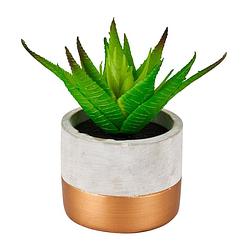 Foto van Citrinum kunstplantje in cement pot - ⌀8x14 cm