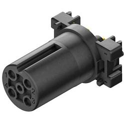 Foto van Weidmüller 2422120000 sensor/actuator steekconnector m12 aantal polen: 5 bus, inbouw verticaal 25 stuk(s)