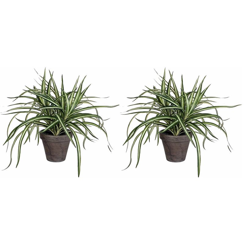 Foto van 2x stuks dracaena kunstplanten groen in grijze pot h34 cm x d40 cm - kunstplanten