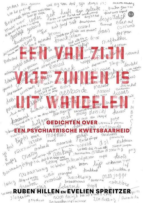 Foto van Een van zijn vijf zinnen is uit wandelen - ruben hillen en evelien spreitzer - paperback (9789464689075)