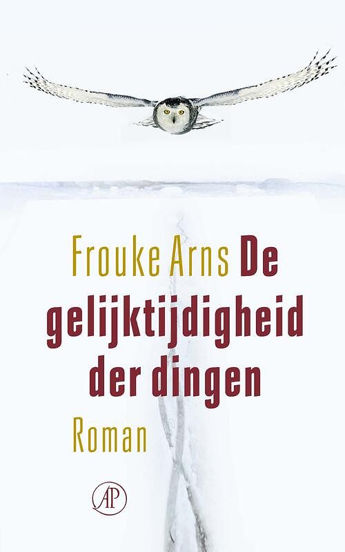 Foto van De gelijktijdigheid der dingen - frouke arns - ebook (9789029544818)