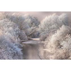 Foto van Wizard+genius frozen forrest vlies fotobehang 384x260cm 8-banen