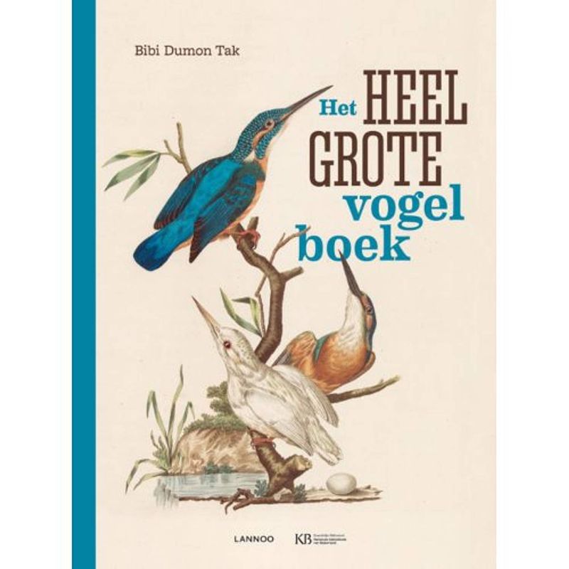 Foto van Het heel grote vogelboek