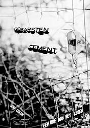 Foto van Gebarsten cement - colon, semi - paperback (9789464851298)