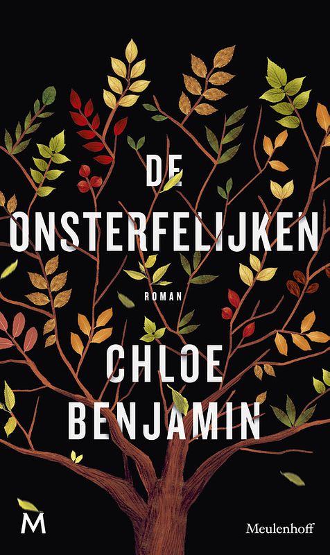 Foto van De onsterfelijken - chloe benjamin - ebook (9789402311266)