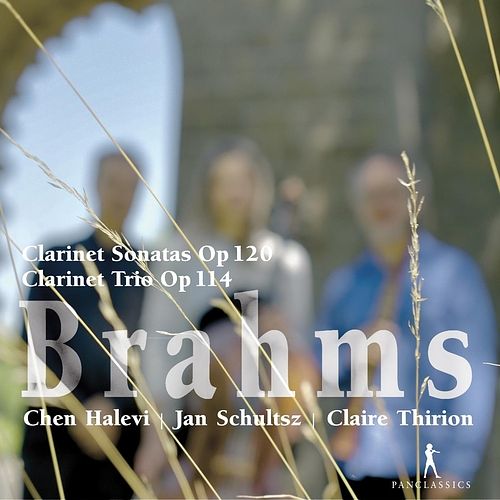 Foto van Brahms: clarinet sonatas op. 120/clarinet trio op. 114 - cd (7619990104402)