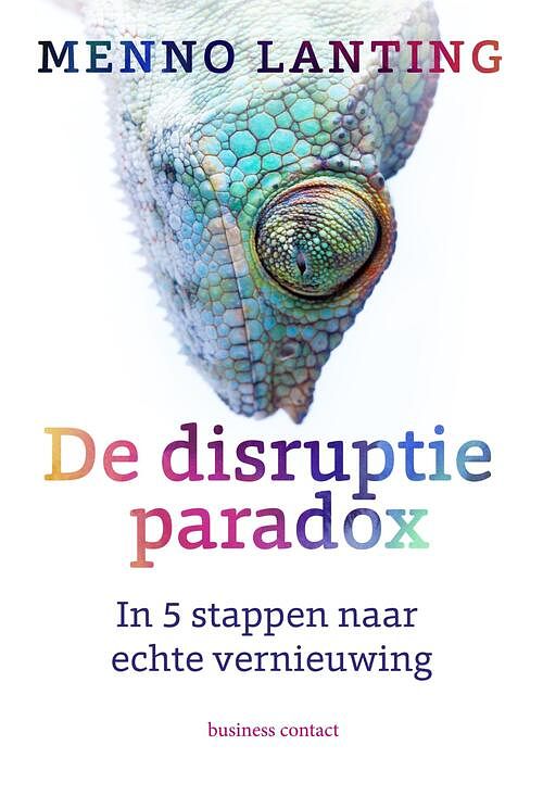 Foto van De disruptieparadox - menno lanting - ebook (9789047010388)