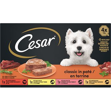 Foto van Cesar classics maaltijdkuipjes vlees & gevogelte selectie hondenvoer 4 x 150g bij jumbo