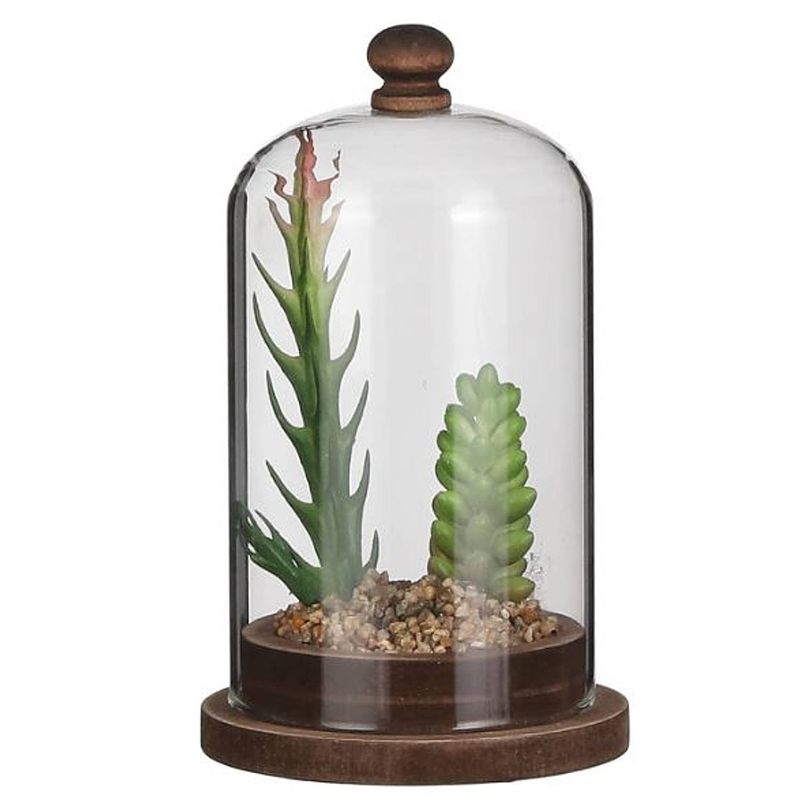 Foto van Mica decorations stolp met vetplant 9 x 15,5 cm glas/hout bruin