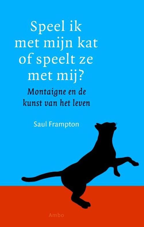 Foto van Speel ik met mijn kat, of speelt ze met mij? - saul frampton - ebook (9789026324826)