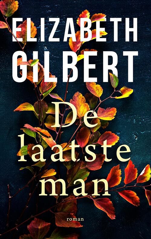 Foto van De laatste man - elizabeth gilbert - ebook (9789403191911)