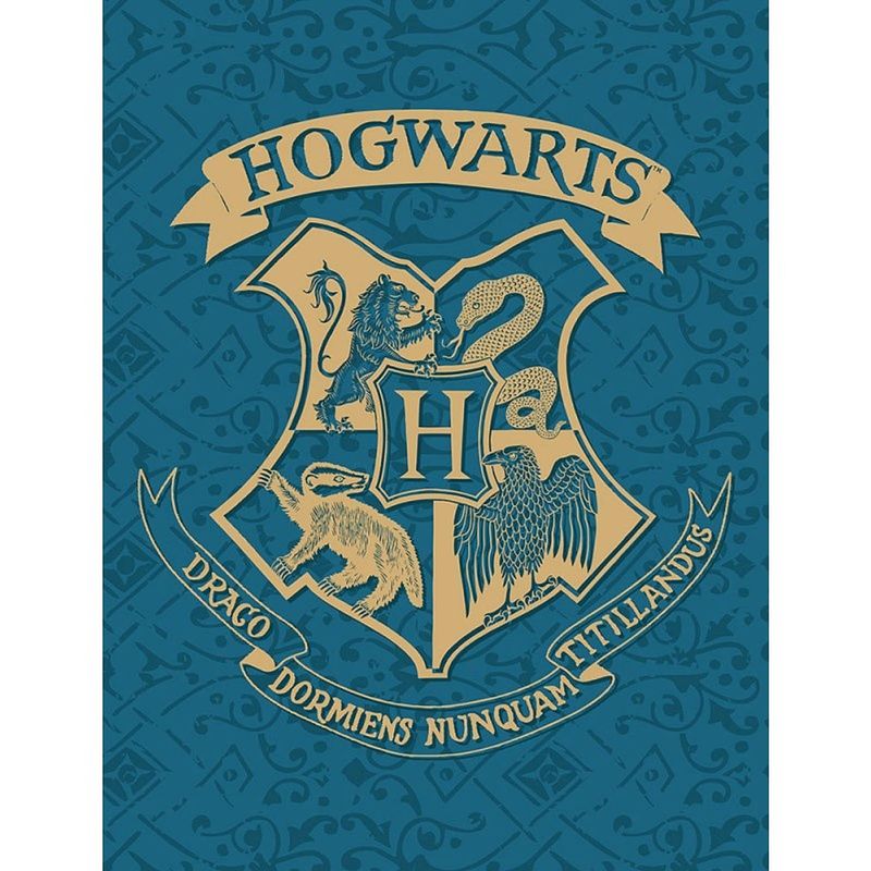 Foto van Harry potter fleecedeken hogwarts - 130 x 170 cm - polyester