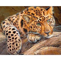 Foto van Diamond painting - 40x50cm - luipaard - ronde stenen - volledige bedekking