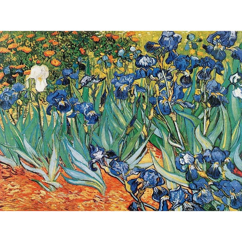 Foto van Vincent van gogh - iris kunstdruk 80x60cm