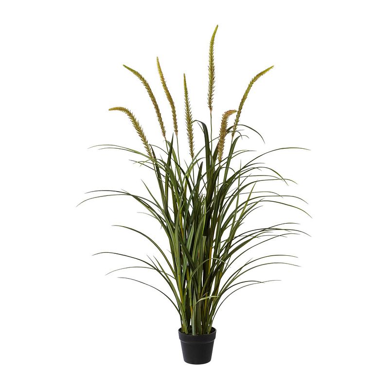 Foto van Kopu® kunstplant miscanthus 135 cm - 7 pluimen - in zwarte pot